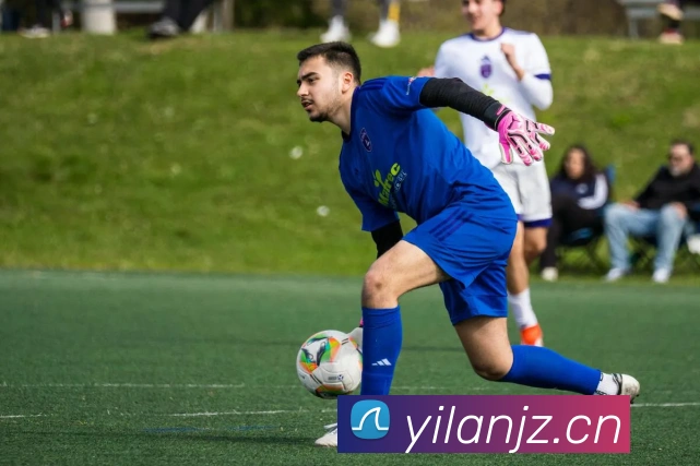 开云官网平台生态图